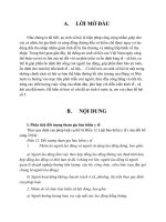 Bài tập học kỳ môn An sinh xã hội