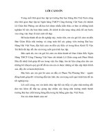 Giải pháp hạn chế rủi ro trong thanh toán quốc tế theo phương thức thanh toán tín dụng chứng từ tại ngân hàngTMCP công thương việt nam chi nhánh lê chân hải phòng 