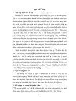 Nâng cao năng lực tài chính tại công ty cổ phần bia hà nội   hải phòng 