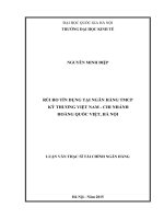 RỦI RO TÍN DỤNG TẠI NGÂN HÀNG TMCP KỸ THƯƠNG VIỆT NAM - CHI NHÁNH HOÀNG QUỐC VIỆT, HÀ NỘI