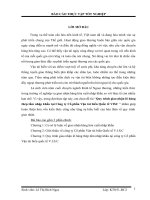 Quy trình giao nhận lô hàng thép tấm nhập khẩu tại công ty cổ phần vận tải biển quốc tế VISC 