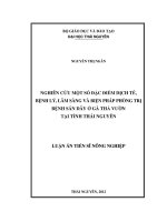 Nghiên Cứu Một Số Đặc Điểm Dịch Tễ,  Bệnh Lý, Lâm Sàng Và Biện Pháp Phòng Trị Bệnh Sán Dây Ở Gà Thả Vườn Tại Tỉnh Thái Nguyên