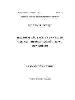 Đặc điểm cấu trúc và can thiệp các bất thường van mũi trong qua nội soi