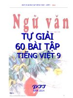 DAP AN 60 BAI TAP TIENG VIET  LOP 9 doc