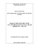 (Đề tài cấp trường) nghi lễ thờ thần bến nước của người GIA RAI tại xã IA MLAH KRÔNG PA – GIA LAI