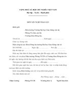 Mẫu đơn xin nghỉ thai sản 2015