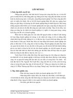 Nâng cao năng lực tài chính của công ty cổ phần thương mại đầu tư xây dựng thăng long 