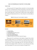 Báo cáo tình hình quản trị công ty singapore