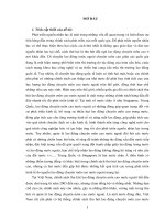 Chính sách thu hút lao động chuyên môn cao nước ngoài vào phát triển kinh tế của một số nước và bài học cho việt nam