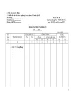 mẫu báo cáo tài chính