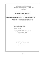 Sáng kiến bồi dưỡng học sinh yếu kém môn ngữ văn ở trường THPT số 1 bảo thắng 