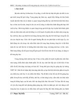 SKKN  xây dựng, sử dụng sơ đồ trong giảng dạy sinh học lớp 12 phần di truyền học 