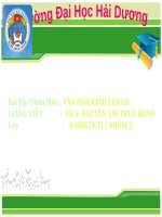 Văn hóa doanh nghiệp ( Công ty cổ phần sữa Vinamilk Việt Nam)