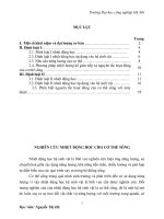 Nhiệt động học hệ sinh học