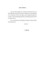 Ra quyết định nhóm với các quan hệ so sánh giữa các giá trị ngôn ngữ 