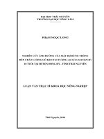 Nghiên Cứu Ảnh Hưởng Của Mật Độ Rừng Trồng Đến Chất Lượng Gỗ Keo Tai Tượng (Acacia Mangium) 10 Tuổi Tại Huyện Đồng Hỷ - Tỉnh Thái Nguyên