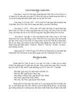 lich su hinh thanh va dk tu nhien cua tra vinh 