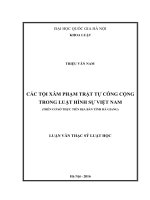 Các tội xâm phạm trật tự công cộng trong luật hình sự việt nam (trên cơ sở thực tiễn địa bàn tỉnh hà giang) 