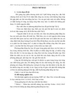 skkn giải bài tập vật lý bằng phương pháp động lực học, áp dụng tại trường THPT số 1 bảo yên 