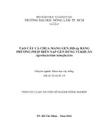 Tạo cây cà chua mang gen HBsAg bằng phương pháp biến nạp gen dùng vi khuẩn agrobacterium tumefaciens