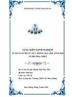 Sáng kiến sử dụng sơ đồ tư DUY trong giảng dạy môn sinh học ở trường trung học phổ thông 