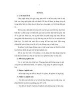 B splines và ứng dụng trong thiết kế hình học 