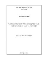 Tái thẩm trong tố tụng hình sự việt nam   những vấn đề lý luận và thực tiễn 