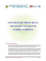 GIẢI PHÁP HỆ THỐNG QUẢN TRỊ NGUỒN LỰC DOANH NGHIỆP