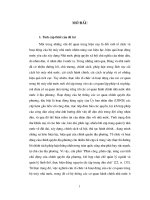 Đổi mới tổ chức và hoạt động của ủy ban nhân dân cấp huyện ở nước ta hiện nay 