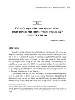 CÓ GIỚI HẠN NÀO CHO SỰ GIA TĂNG TÌNH TRẠNG PHI CHÍNH THỨC Ở NAM MỸ ĐIỀU TRA SƠ BỘ