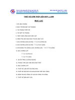 THIẾT KẾ DẦM THÉP LIÊN HỢP, L=30m