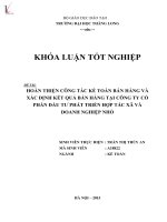 Hoàn thiện kế toán bán hàng và xác định kết quả bán hàng tại công ty cổ phần đầu tư phát triển hợp tác xã và doanh nghiệp nhỏ 