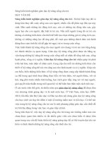 Một số kinh nghiệm giáo dục kỹ năng sống cho trẻ mẫu giáo nhỡ 4 – 5 tuổi thông qua hoạt động ngoài trời 