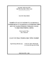 Nghiên Cứu Sự Lưu Hành Của Salmonella Typhimurium Và Salmonella Enteritidis Trên Đàn Vịt Tại Hai Tỉnh Bắc Ninh, Bắc Giang  Và Biện Pháp Phòng Chống
