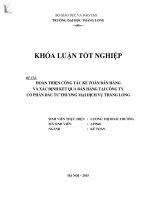 Hoàn thiện kế toán bán hàng và xác định kết quả bán hàng tại công ty cổ phần đầu tư thương mại dịch vụ thăng long 