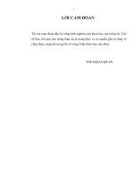 “Thu hút vốn để phát triển nông nghiệp tỉnh Hải Dương trong giai đoạn hiện nay”