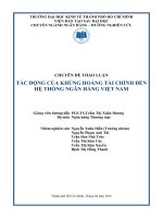 Tiểu luận tác động của khủng hoảng tài chính đến hệ thống ngân hàng việt nam