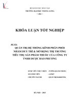 Quản trị hệ thống kênh phân phối nhằm duy trì và mở rộng thị trường tiêu thụ sản phẩm thuốc của công ty TNHH dược bảo phương 