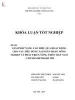 Giải pháp nâng cao hiệu quả hoạt động cho vay tiêu dùng tại ngân hàng nông nghiệp và phát triển nông thôn việt nam chi nhánh thanh trì 