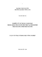 Nghiên Cứu Sử Dụng Lá Keo Dậu Trong Khẩu Phần Nuôi Thỏ Thịt Tại Thành Phố Thái Nguyên, Tỉnh Thái Nguyên