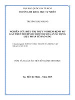 Nghiên cứu điều trị thực nghiệm bệnh xơ gan trên mô hình chuột bị xơ gan sử dụng liệu pháp tế bào gốc 