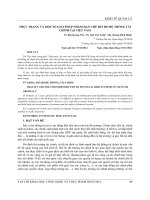 THỰC TRẠNG VÀ MỘT SỐ GIẢI PHÁP NHẰM HẠN CHẾ RỦI RO HỆ THỐNG TÀI CHÍNH TẠI VIỆT NAM