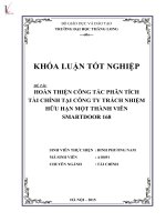 Hoàn thiện công tác phân tích tài chính tại công ty trách nhiệm hữu hạn môt thành viên smardoor 168 