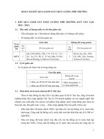 Kết quả giám sát KCN Tân Tạo 2012 2013