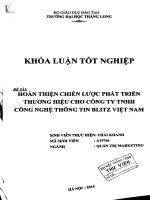 Hoàn thiện chiến lược phát triển thương hiệu cho công ty TNHH công nghệ thông tin blitz việt nam 