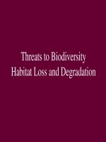Bài giảng habitat loss and degradation