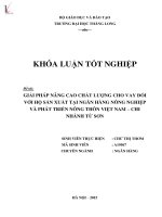 Giải pháp nâng cao chất lượng cho vay đối với hộ sản xuất tại ngân hàng nông nghiệp và phát triển nông thôn việt nam chi nhánh từ sơn 