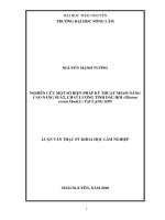 Nghiên Cứu Một Số Biện Pháp Kỹ Thuật Nhằm Nâng Cao Năng Suất, Chất Lượng Tinh Dầu Hồi (Illicium Verum Hook.F.) Tại Lạng Sơn