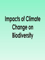 Bài giảng climate change and biodiversity