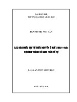 Các đàn miếu đại tự triều Nguyễn ở Huế (1802-1945)  sự hình thành và nghi thức tế tự